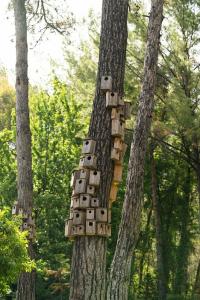 Golden Key Bordubet - 7