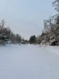 Где-то под Питером - 27