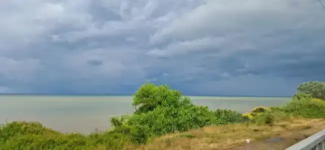 Mavigi - 8