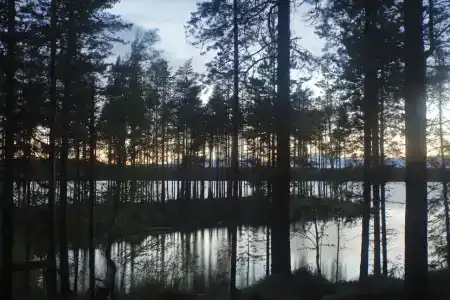 Рыболофф.ру - 17