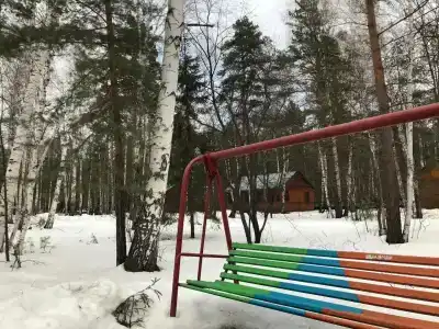 Чайка - 23