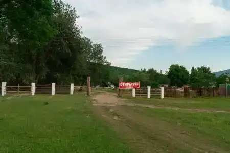 Дикий аист - 31
