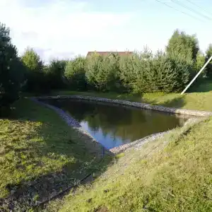 Уницы - 11