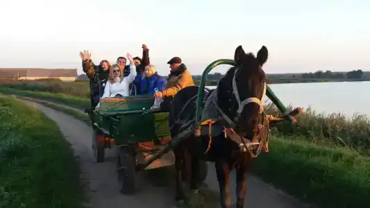 Лявониха - 35