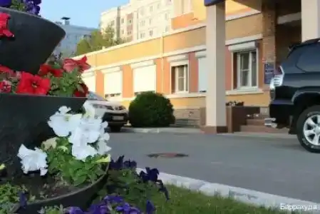 Барракуда - 8