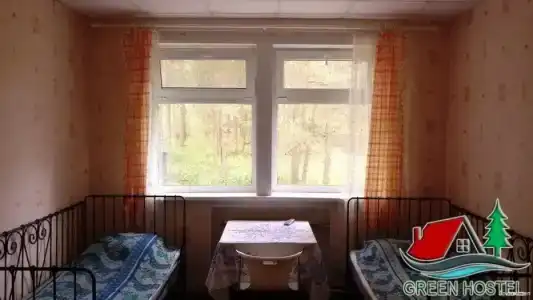 Зеленый бор - 16