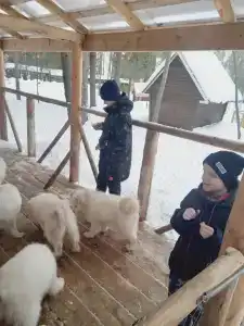 Высоковское - 39