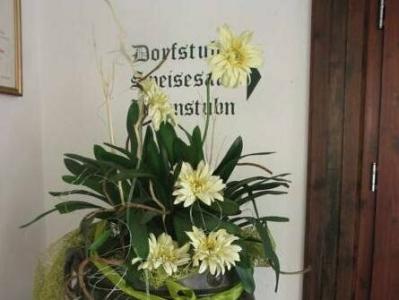 Kosis Sports Lifestyle - 20