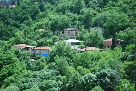 Guest House Central - 4