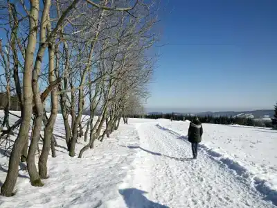 Avital Resort - 9