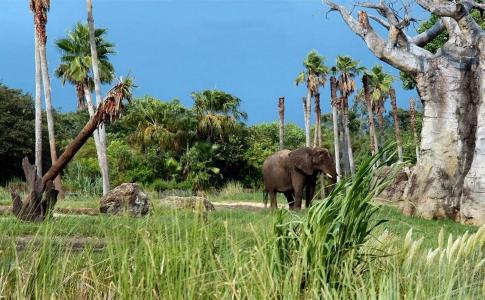 Holiday Inn Express & Suites - Nearest Universal Orlando, an IHG - 12