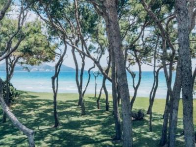 Iberostar Selection Playa de Muro Village - 19