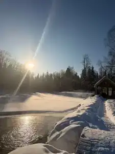 Добролес - 1