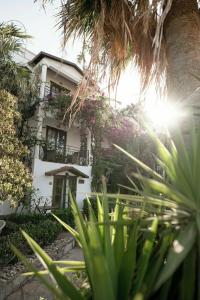 Mare Garden - 38