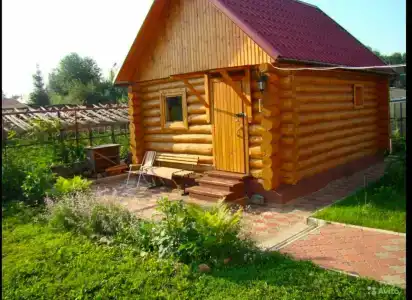 Пшеница - 0