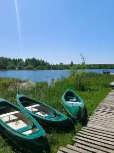Вгости - 18