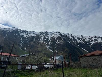 Chemodann Kazbegi - 36
