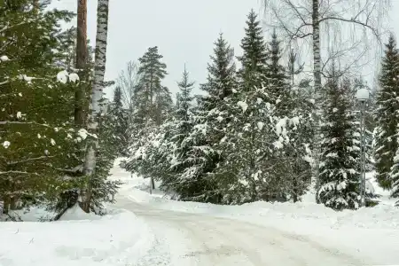 Сатурн - 22