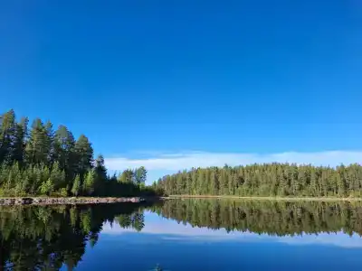 Салонсари - 20