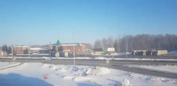 Омич - 31