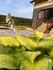 Устьяны - 3
