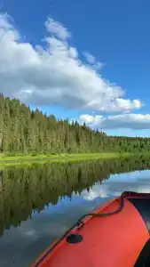 Лесная гармония - 18