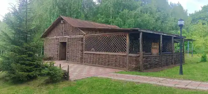 Мечта - 46