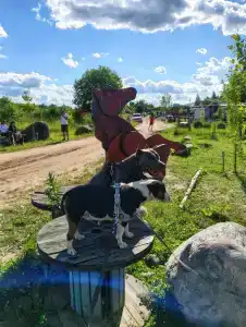 Парк Приключений Павлова - 20