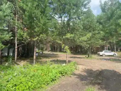 Лесная Резиденция - 4