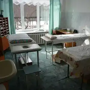 Берёзка - 13