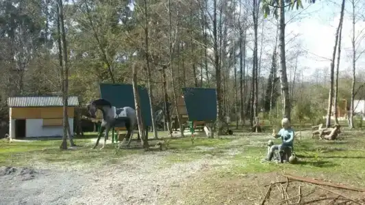 Ассир - 12