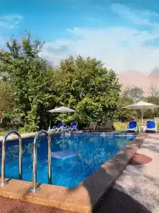 Mountain Dream - 6