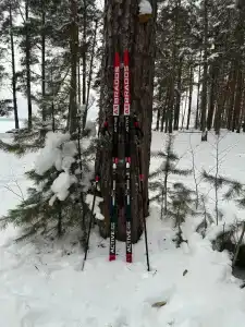Градуевское - 31