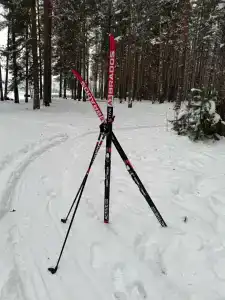 Градуевское - 18