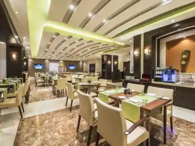 Golden Tulip - 48