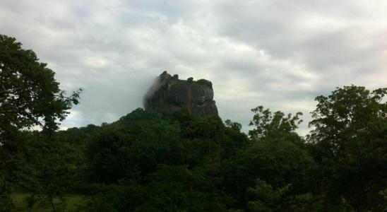 The Nature Park Villa - 9