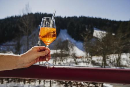Das Wald- Genuss & Wellness am Notschreipass - 28