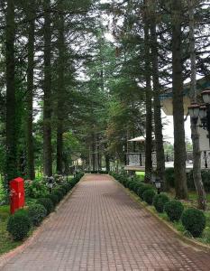 NG Sapanca Wellness & Convention - 11