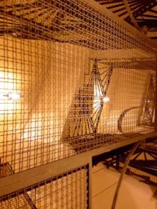 Soggiorno Angelus - 35