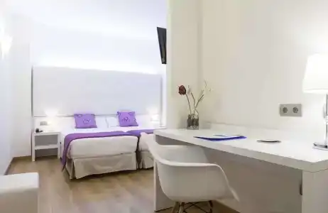 Albahia Alicante - 25