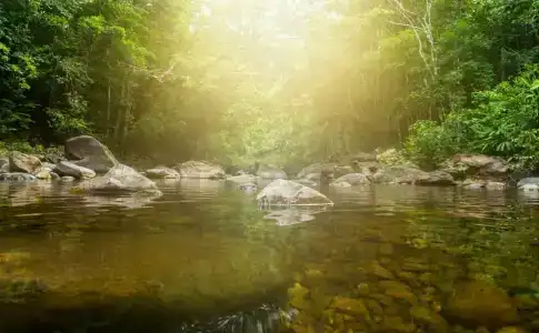 Koh Chang Cliff Beach Resort - 8