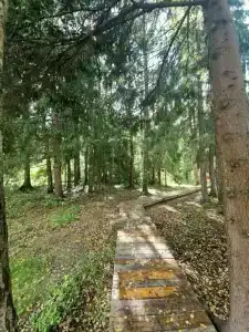 Voronovo Village - 47