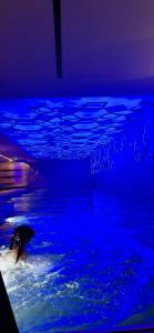 Metropol Palace, a Luxury Collection, Belgrade - 12