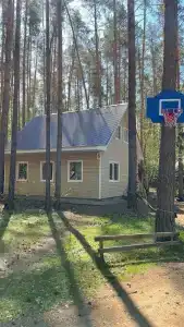 Лесовичок - 9