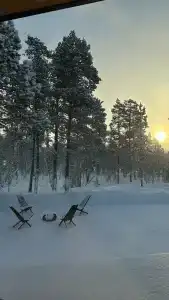 ЛеСъ - 36