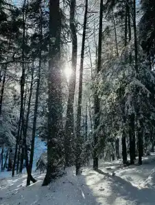Водное пространство Муром - 4