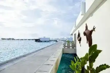 Riu Palace Maldives - 14