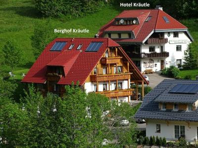 Schwarzwald ApartKräutle - 18