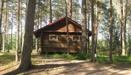 Аист - 0