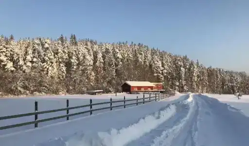 Хутор Ярви - 20